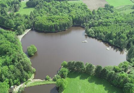The Lake